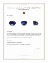 1.13 Ct. Blue Sapphire from Ceylon (Sri Lanka) Appraisal