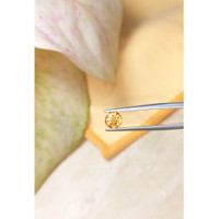 1.47 Ct. Orangish Yellow Sapphire from Ceylon (Sri Lanka) Life Style