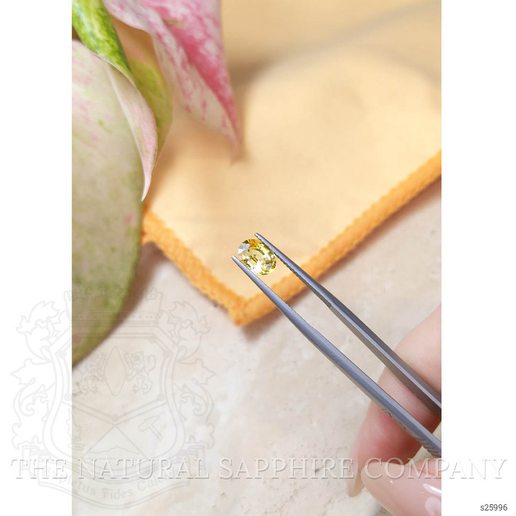 1.68 Ct. Yellow Sapphire from Ceylon (Sri Lanka)