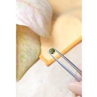 0.92 Ct. Yellowish Green Sapphire from Ceylon (Sri Lanka) Life Style