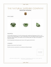 Jewelry Appraisal