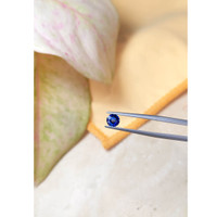 0.65 Ct. Blue Sapphire from Ceylon (Sri Lanka) Life Style