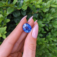 13.08 Ct. Blue Sapphire from Ceylon (Sri Lanka) Life Style
