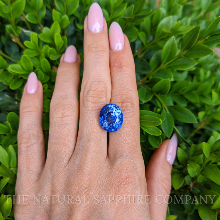 13.08 Ct. Blue Sapphire from Ceylon (Sri Lanka)