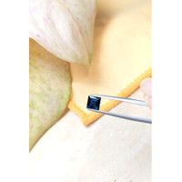 1.46 Ct. Blue Sapphire from Ceylon (Sri Lanka) Life Style