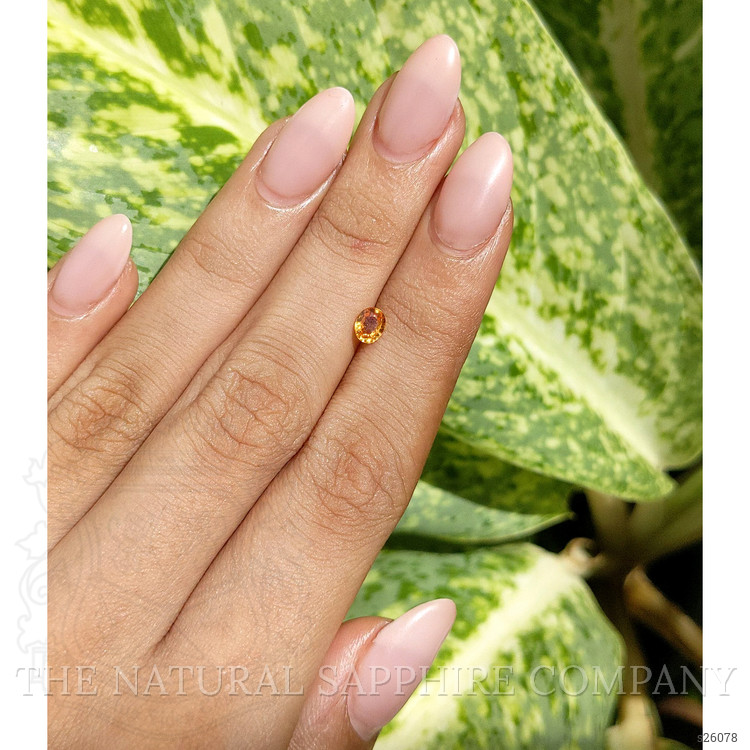 0.45 Ct. Yellowish Orange Sapphire from Ceylon (Sri Lanka)