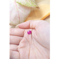 3.09 Ct. Pink Sapphire from Ceylon (Sri Lanka) Life Style