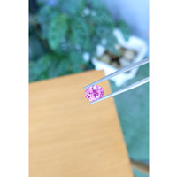 3.02 Ct. Pink Sapphire from Ceylon (Sri Lanka) Life Style