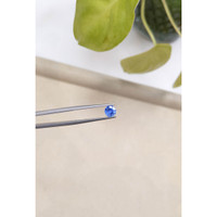 0.90 Ct. Blue Sapphire from Ceylon (Sri Lanka) Life Style
