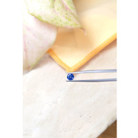 0.73 Ct. Blue Sapphire from Ceylon (Sri Lanka) Life Style