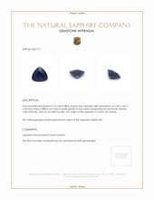 0.75 Ct. Blue Sapphire from Ceylon (Sri Lanka) Appraisal