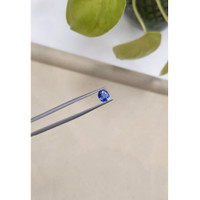 1.06 Ct. Blue Sapphire from Ceylon (Sri Lanka) Life Style