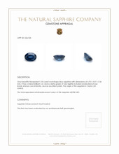 1.05 Ct. Blue Sapphire from Ceylon (Sri Lanka) Appraisal