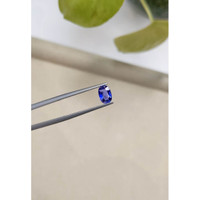 1.04 Ct. Blue Sapphire from Ceylon (Sri Lanka) Life Style