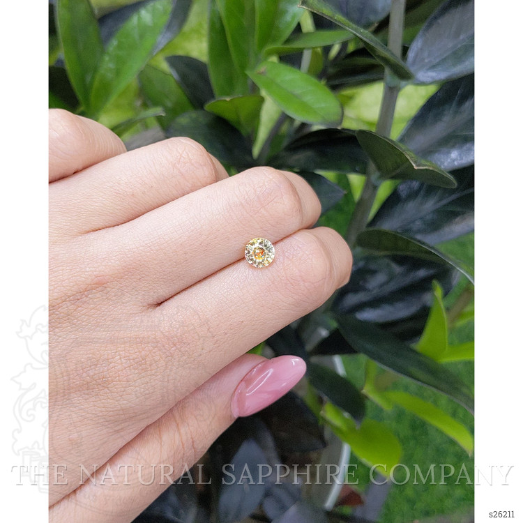 1.54 Ct. Yellow Sapphire from Ceylon (Sri Lanka)