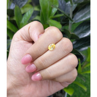 1.53 Ct. Yellow Sapphire from Ceylon (Sri Lanka) Life Style