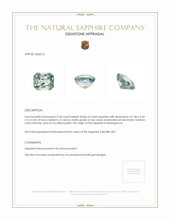 Jewelry Appraisal