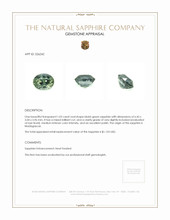 1.03 Ct. Bluish Green Sapphire from Madagascar Appraisal
