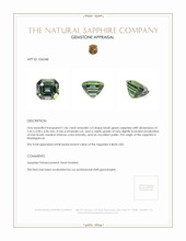 1.06 Ct. Bluish Green Sapphire from Madagascar Appraisal
