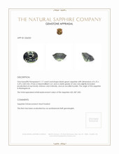 1.17 Ct. Bluish Green Sapphire from Madagascar Appraisal