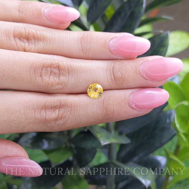 1.45 Ct. Yellow Sapphire from Ceylon (Sri Lanka)