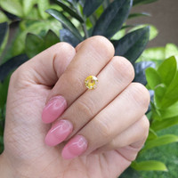 1.45 Ct. Yellow Sapphire from Ceylon (Sri Lanka) Life Style