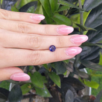 1.99 Ct. Bi Color Sapphire from Madagascar Life Style