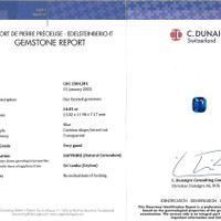 10.03 Ct. Blue Sapphire from Ceylon (Sri Lanka) Scan Report