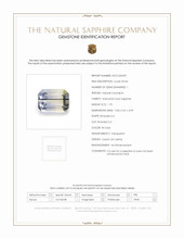 Jewelry Scan Report