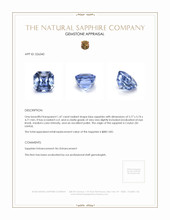 1.47 Ct. Blue Sapphire from Ceylon (Sri Lanka) Appraisal