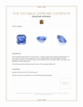 0.81 Ct. Blue Sapphire from Ceylon (Sri Lanka) Appraisal