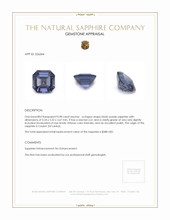 0.98 Ct. Bluish Purple Sapphire from Ceylon (Sri Lanka) Appraisal