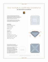 Jewelry 3 D Scan Report