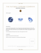 0.89 Ct. Blue Sapphire from Ceylon (Sri Lanka) Appraisal