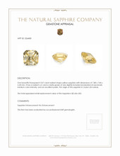 3.07 Ct. Yellow Sapphire from Ceylon (Sri Lanka) Appraisal