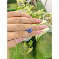 7.20 Ct. Blue Sapphire from Ceylon (Sri Lanka) Life Style