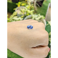 3.48 Ct. Blue Sapphire from Ceylon (Sri Lanka) Life Style