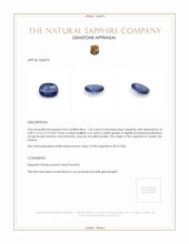 1.05 Ct. Blue Sapphire from Ceylon (Sri Lanka) Appraisal