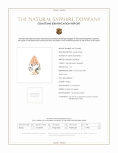 Jewelry Scan Report