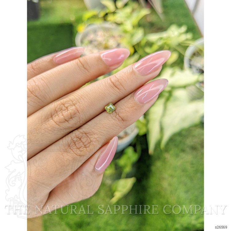 0.50 Ct. Greenish Yellow Sapphire from Ceylon (Sri Lanka)