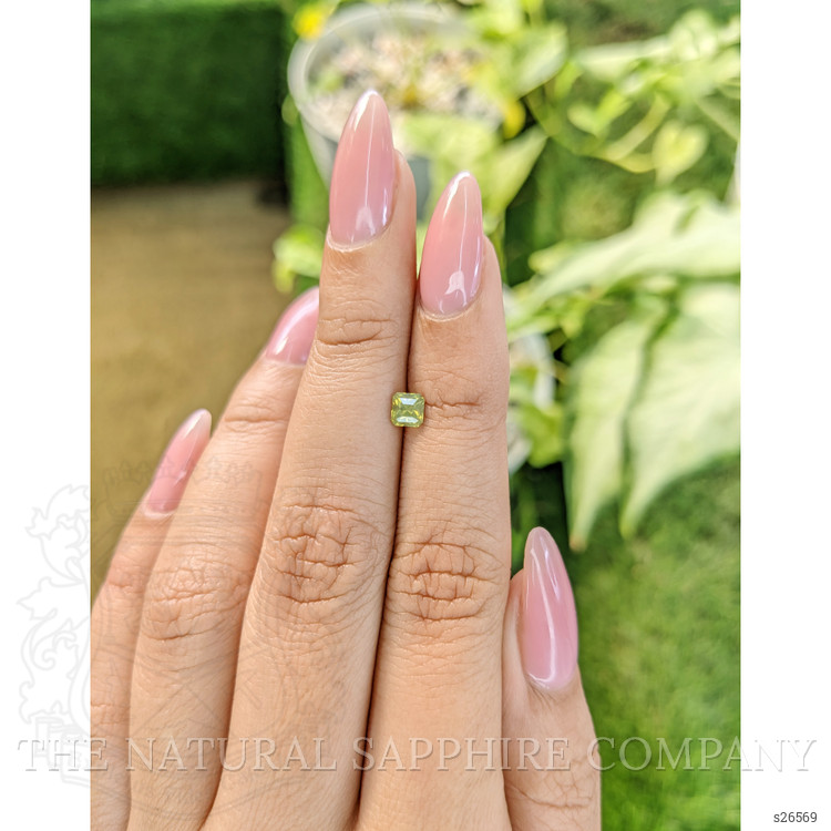 0.50 Ct. Greenish Yellow Sapphire from Ceylon (Sri Lanka)