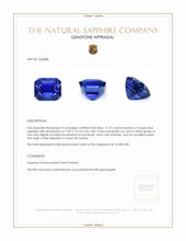 12.72 Ct. Blue Sapphire from Ceylon (Sri Lanka) Appraisal