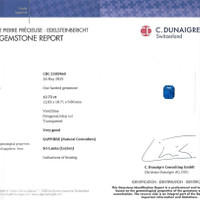 12.72 Ct. Blue Sapphire from Ceylon (Sri Lanka) Scan Report