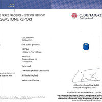 12.72 Ct. Blue Sapphire from Ceylon (Sri Lanka) Scan Report