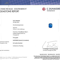12.77 Ct. Blue Sapphire from Ceylon (Sri Lanka) Scan Report