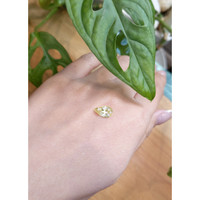 2.20 Ct. Yellow Sapphire from Ceylon (Sri Lanka) Life Style