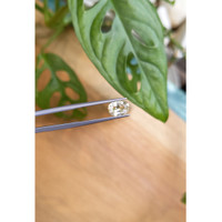 1.75 Ct. Peach Sapphire from Ceylon (Sri Lanka) Life Style