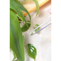 0.57 Ct. Yellow Sapphire from Ceylon (Sri Lanka) Life Style