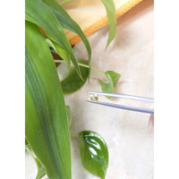 0.57 Ct. Yellow Sapphire from Ceylon (Sri Lanka) Life Style