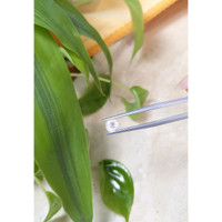 0.44 Ct. White Sapphire from Ceylon (Sri Lanka) Life Style